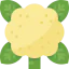 Cauliflower icon 64x64