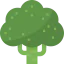 Broccoli icon 64x64