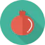 Pomegranate icon 64x64