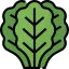 Kale icon 64x64
