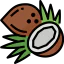 Coconut icon 64x64