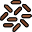 Brown rice icon 64x64
