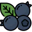 Blueberry icon 64x64