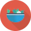 Salad icon 64x64