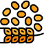 Oat icon 64x64