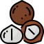 Macadamia nut アイコン 64x64