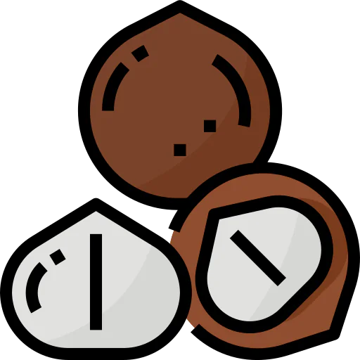 Macadamia nut icon
