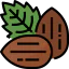 Almond icon 64x64