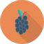 Blueberry icon 64x64