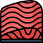 Salmon icon 64x64