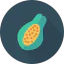 Papaya icon 64x64