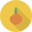 Onion icon 64x64