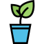 Sprout icon 64x64