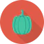 Capsicum icon 64x64