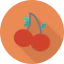 Cherry icon 64x64