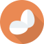 Egg icon 64x64