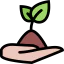 Sprout icon 64x64
