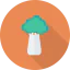 Broccoli icon 64x64