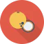Lychee icon 64x64