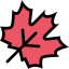 Maple leaf icon 64x64