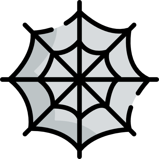 Spider web icon