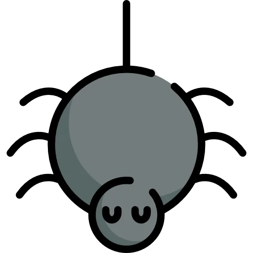 Spider icon