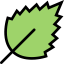 Leaf icon 64x64