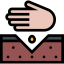 Seed icon 64x64