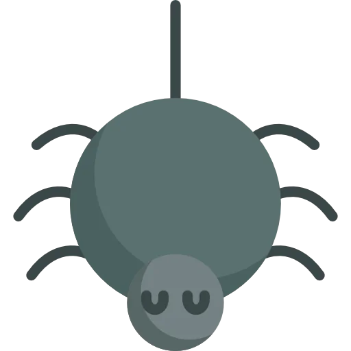 Spider icon