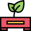 Sprout icon 64x64