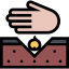 Seed icon 64x64