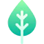 Leaf icon 64x64
