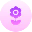 Flower icon 64x64