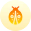 Ladybug icon 64x64