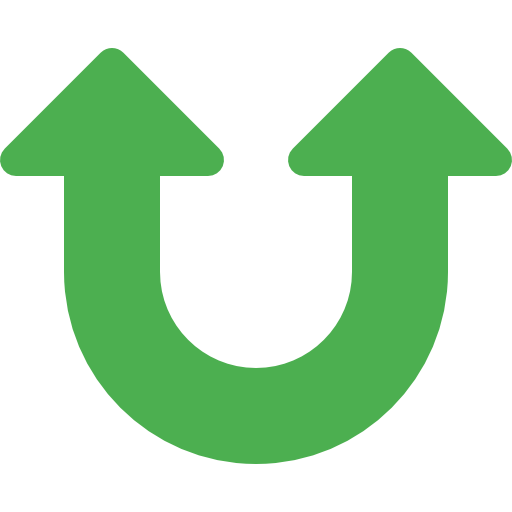Double arrow icon