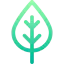 Leaf icon 64x64