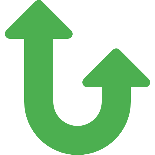 Double arrow icon