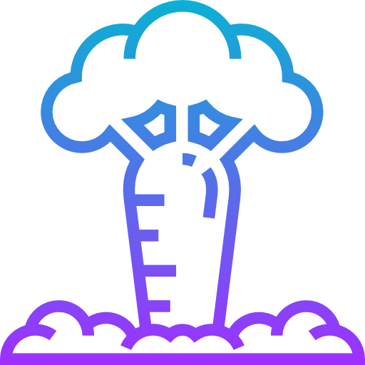 Baobab icon