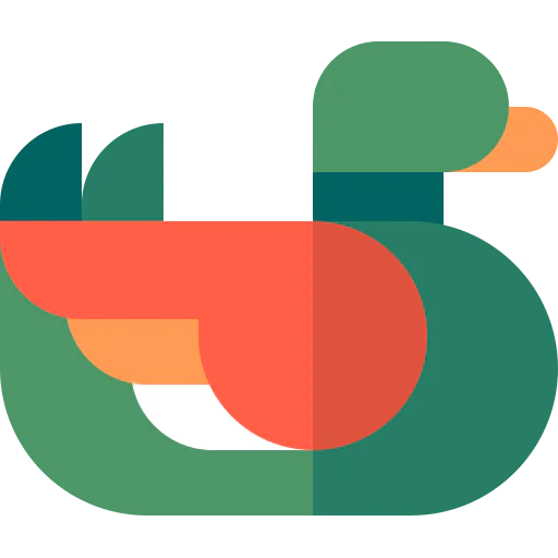 Duck icon