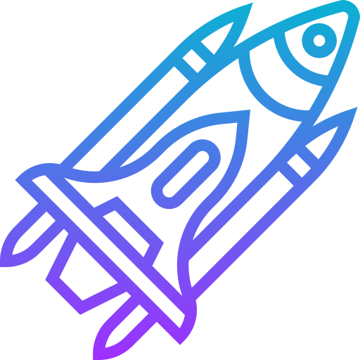 Rocket icon