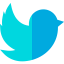 Twitter Symbol 64x64
