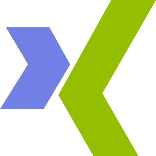 Xing icon