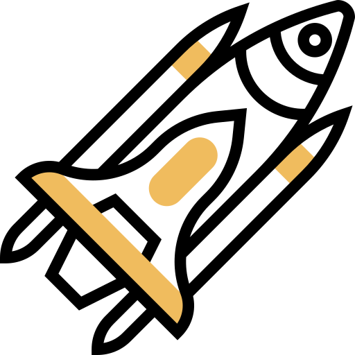 Rocket icon