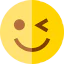 Wink icon 64x64