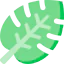 Jungle icon 64x64