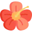 Flower icon 64x64