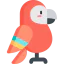 Macaw icon 64x64
