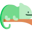 Chameleon icon 64x64