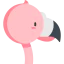 Flamingo icon 64x64