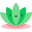 Lotus icon 64x64